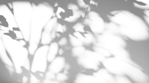 Веточки (Cookies/Cucoloris)